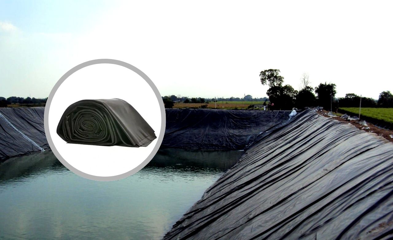 Golden harvest field