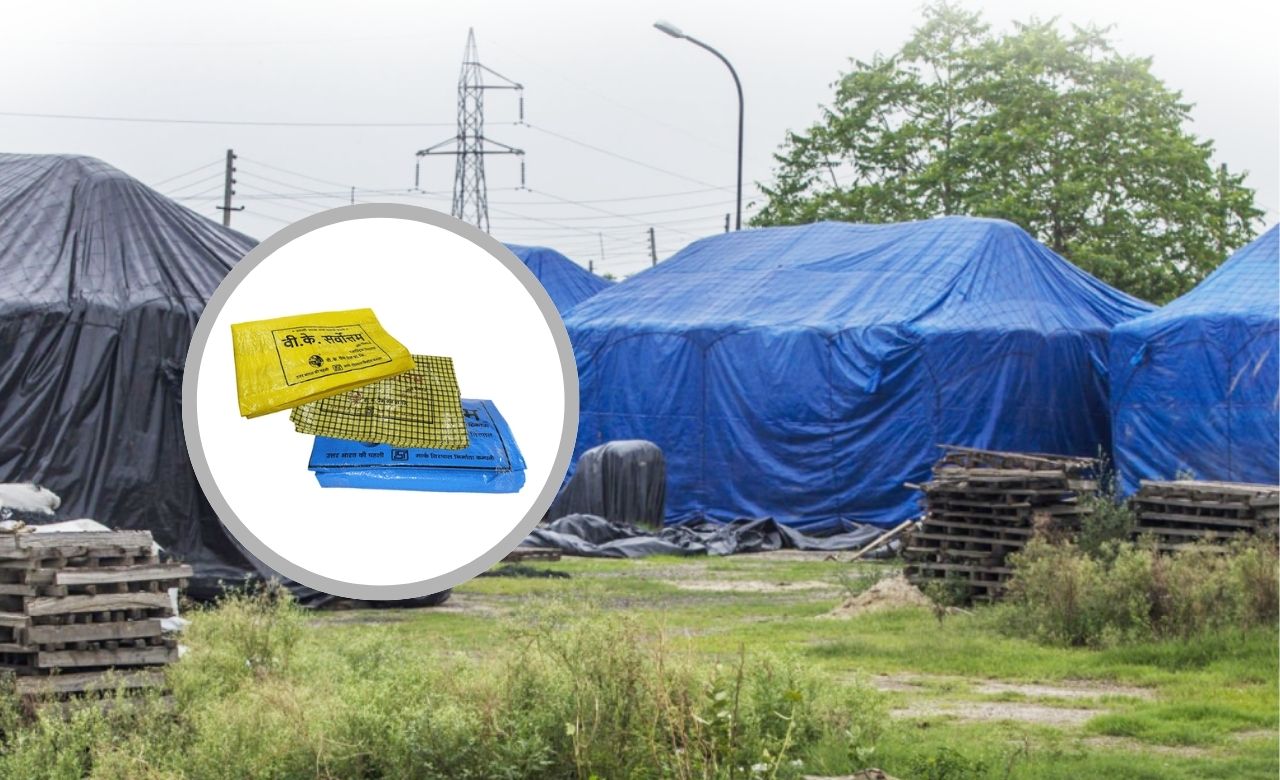 Golden harvest field