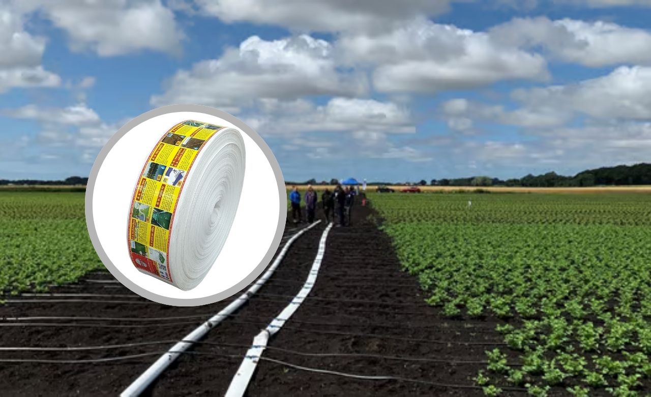 Golden harvest field